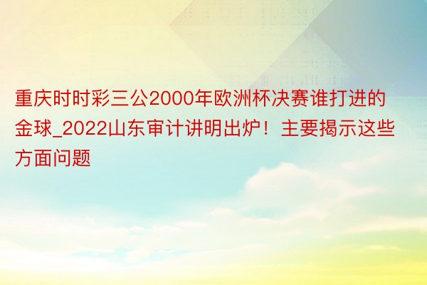 重庆时时彩三公2000年欧洲杯决赛谁打进的金球_2022山东审计讲明出炉！主要揭示这些方面问题