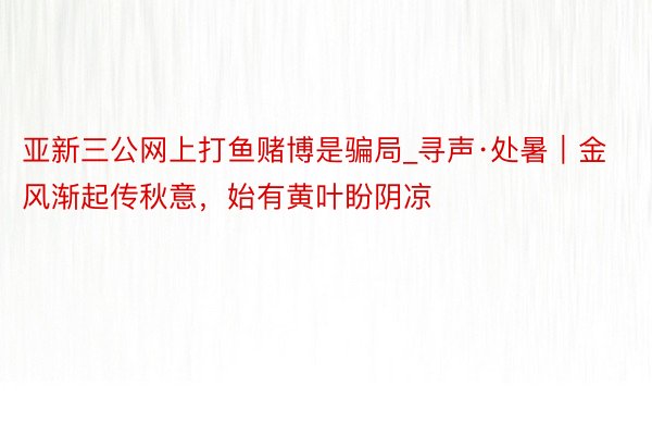 亚新三公网上打鱼赌博是骗局_寻声·处暑｜金风渐起传秋意，始有黄叶盼阴凉