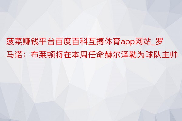 菠菜赚钱平台百度百科互搏体育app网站_罗马诺：布莱顿将在本周任命赫尔泽勒为球队主帅